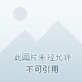 尸神决